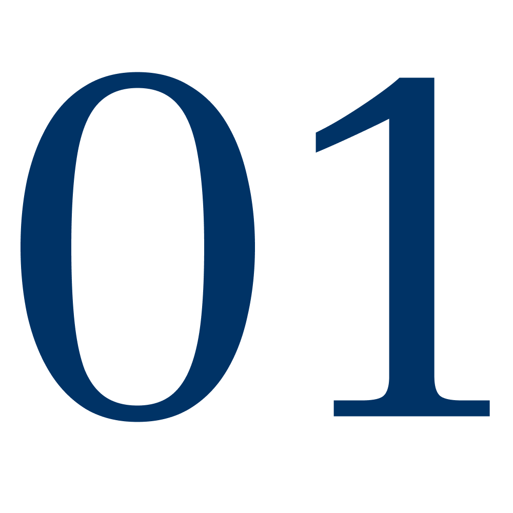 מספר 01 שלבי ביצוע