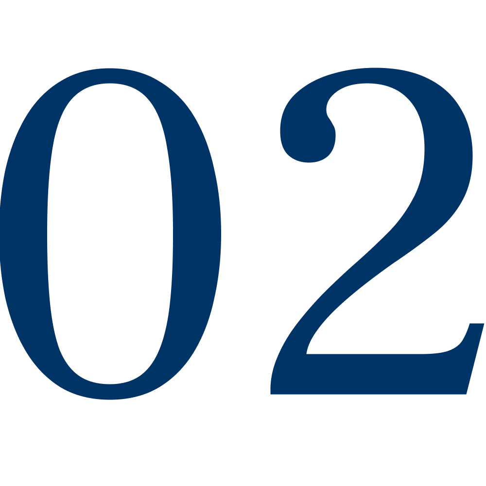 מספר 02 שלבי ביצוע