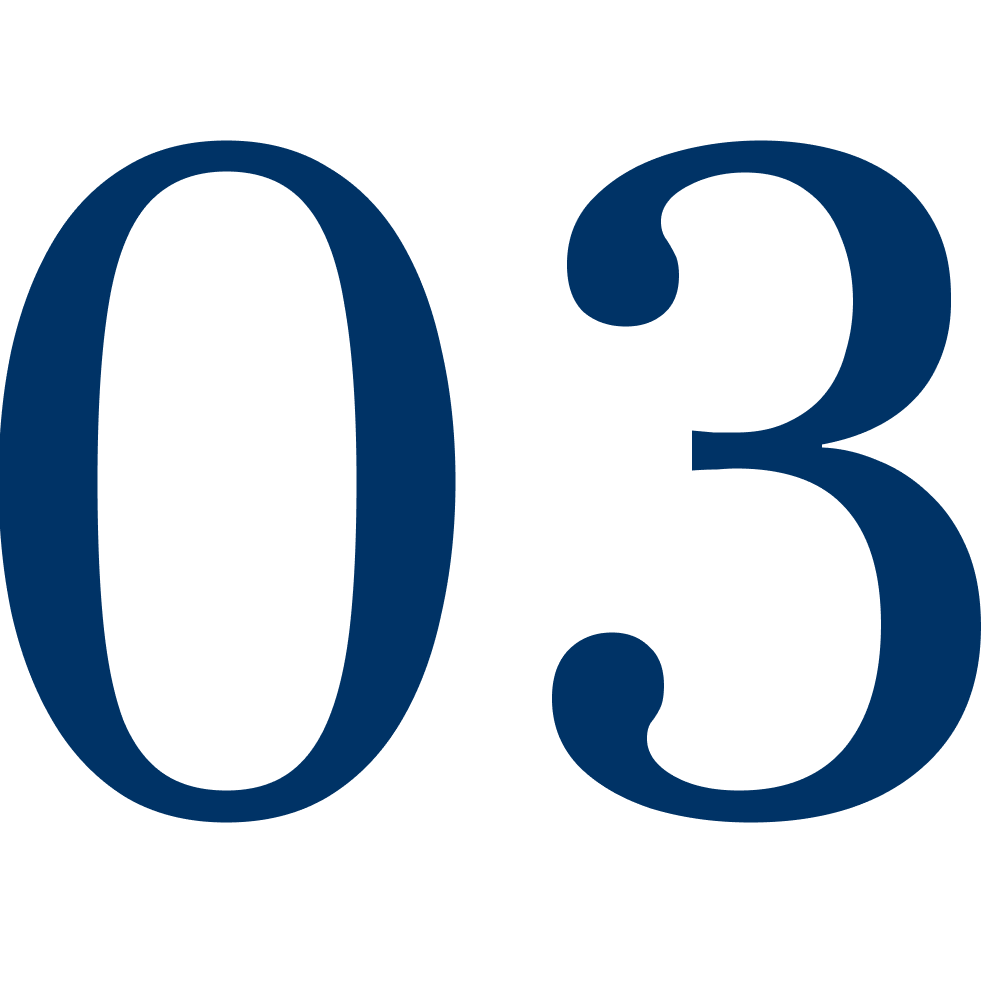 מספר 03 שלבי ביצוע